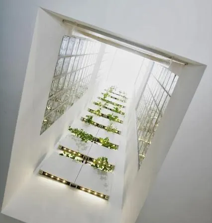 Apartment Wish Palacios Malaver *