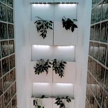 Wish Palacios Malaver Apartment