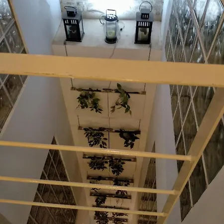 Apartment Wish Palacios Malaver